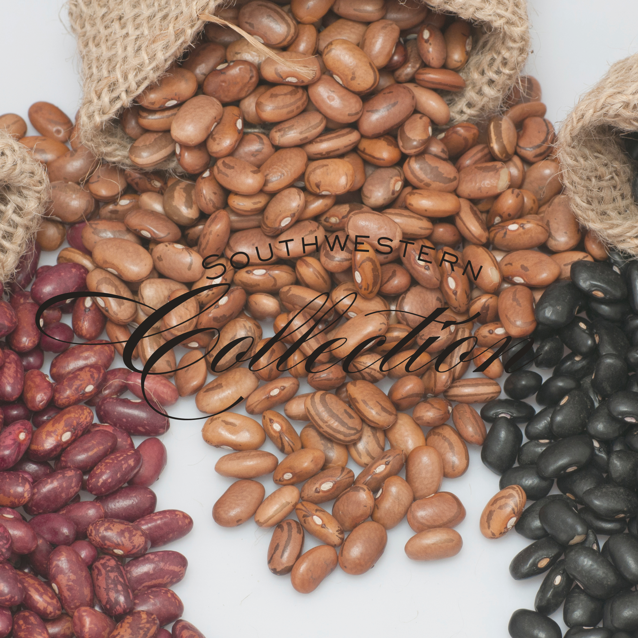 Southwestern Cuisine Bean Collection